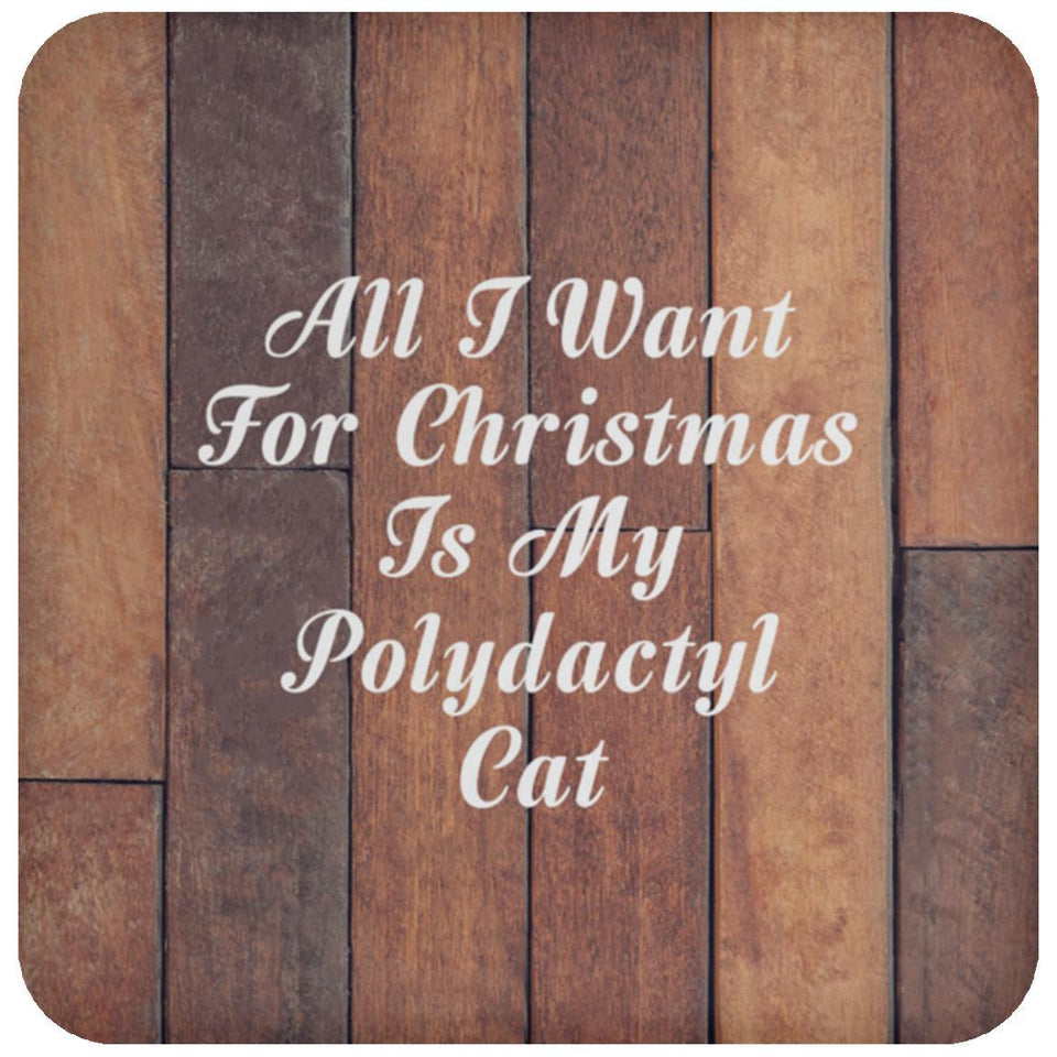 All I Want For Christmas Is My Polydactyl Cat - Drink Coaster E