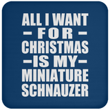 All I Want For Christmas Is My Miniature Schnauzer - Coaster