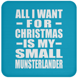 All I Want For Christmas Is My Small Munsterlander - Coaster