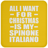 All I Want For Christmas Is My Spinone Italiano - Coaster
