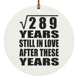 17th Anniversary Square Root of 289 Years Still In Love - Circle Ornament