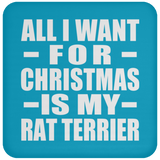 All I Want For Christmas Is My Rat Terrier - Coaster