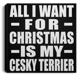 All I Want For Christmas Is My Cesky Terrier - Canvas Square