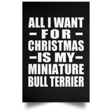 All I Want For Christmas Is My Miniature Bull Terrier - Poster Portrait