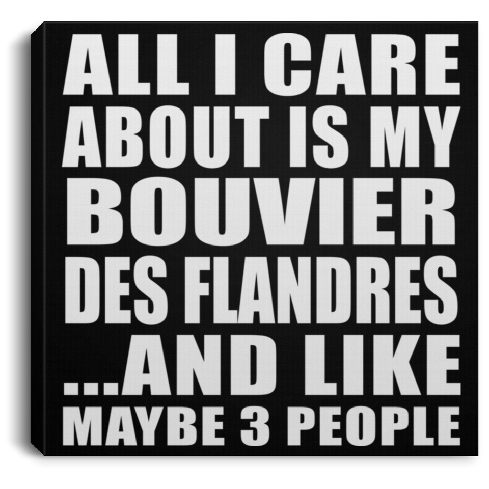 All I Care About Is My Bouvier Des Flandres - Canvas Square