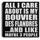 All I Care About Is My Bouvier Des Flandres - Canvas Square
