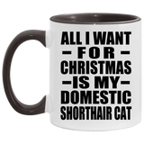 All I Want For Christmas Is My Domestic Shorthair Cat - 11oz Accent Mug Black