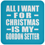 All I Want For Christmas Is My Gordon Setter - Coaster
