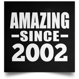 22nd Birthday Amazing Since 2002 - Poster Square