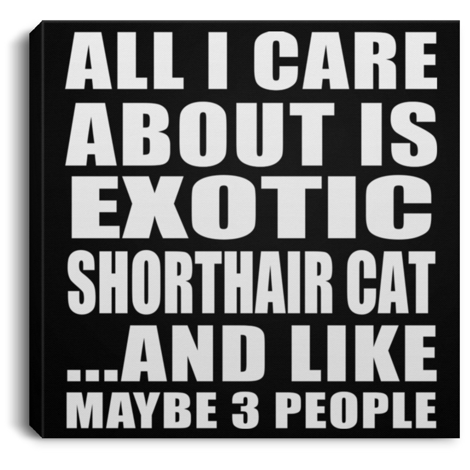 All I Care About Is Exotic Shorthair Cat - Canvas Square