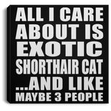 All I Care About Is Exotic Shorthair Cat - Canvas Square