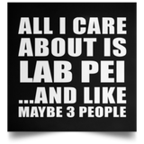 All I Care About Is Lab Pei - Poster Square