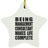 Being Management Consultant Makes Life Complete - Star Ornament