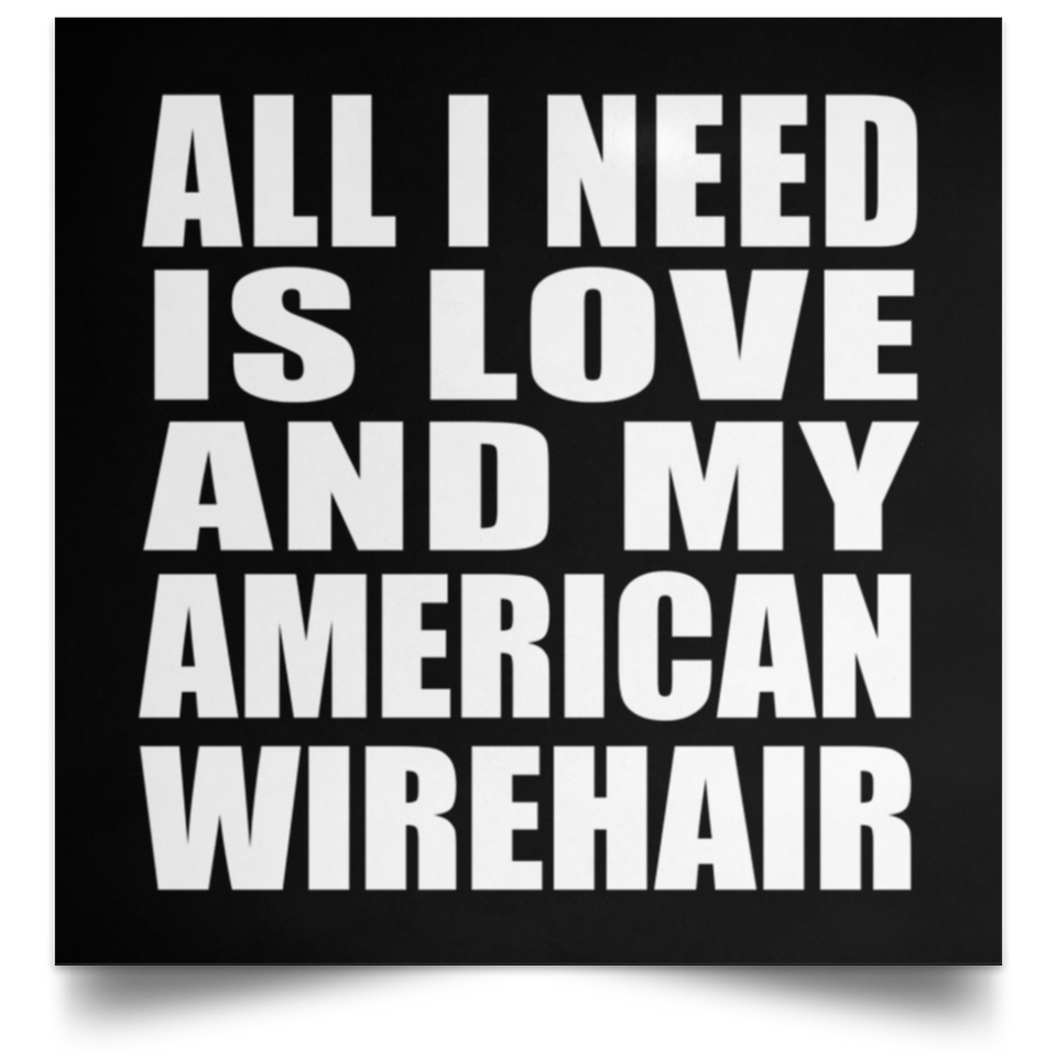 All I Need Is Love And My American Wirehair - Poster Square