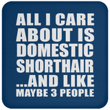 All I Care About Is Domestic Shorthair - Coaster