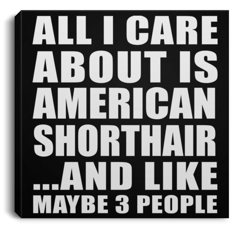 All I Care About Is American Shorthair - Canvas Square