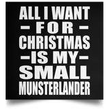 All I Want For Christmas Is My Small Munsterlander - Poster Square