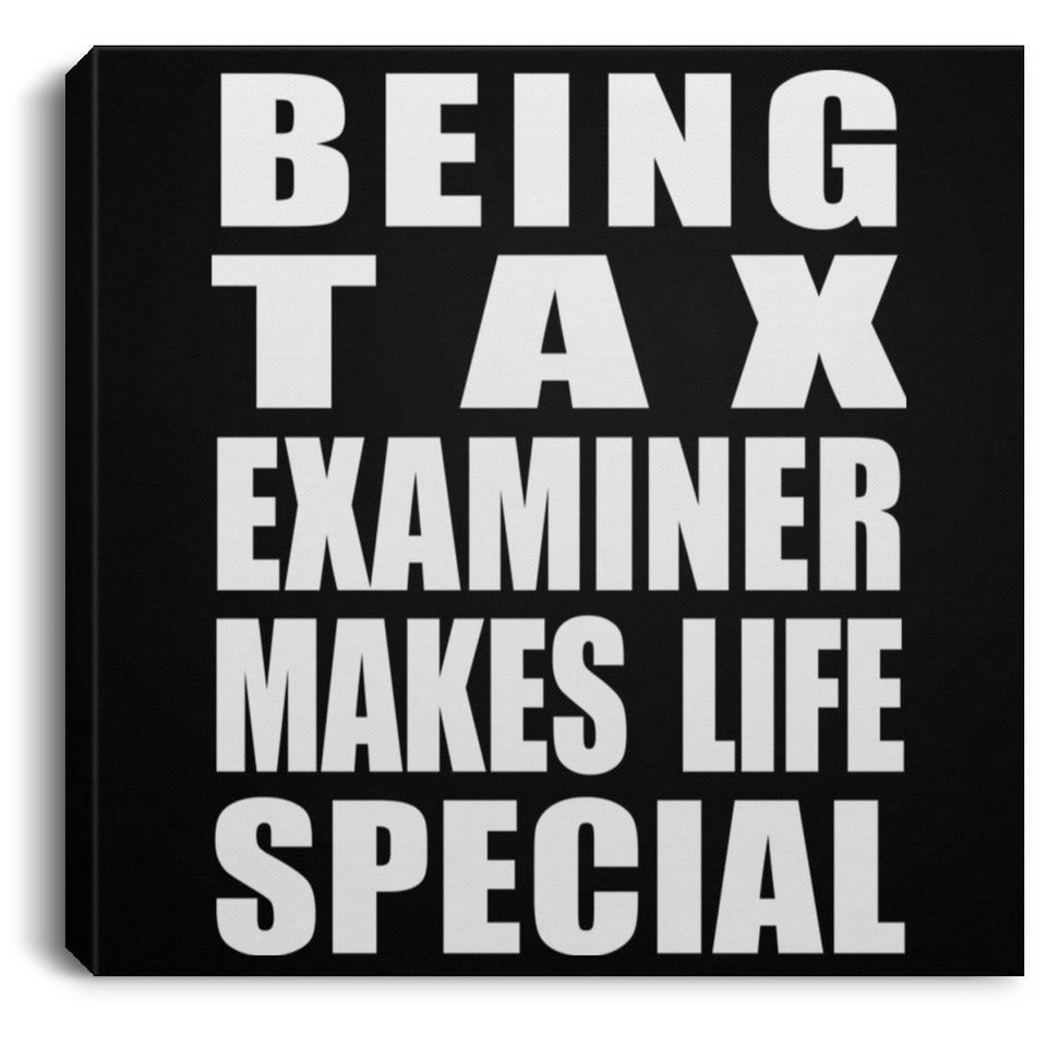 Being Tax Examiner Makes Life Special - Canvas Square