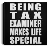 Being Tax Examiner Makes Life Special - Canvas Square
