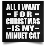 All I Want For Christmas Is My Minuet Cat - Poster Square