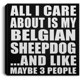 All I Care About Is My Belgian Sheepdog - Canvas Square