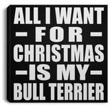 All I Want For Christmas Is My Bull Terrier - Canvas Square