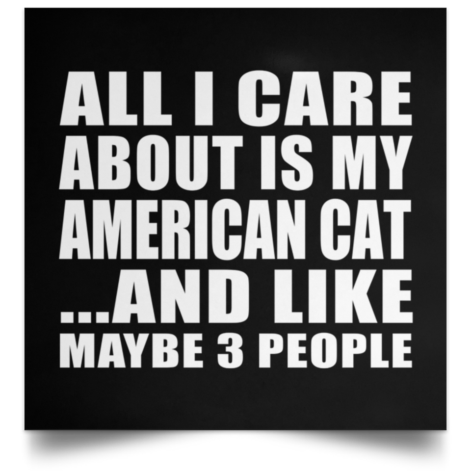 All I Care About Is My American Cat - Poster Square