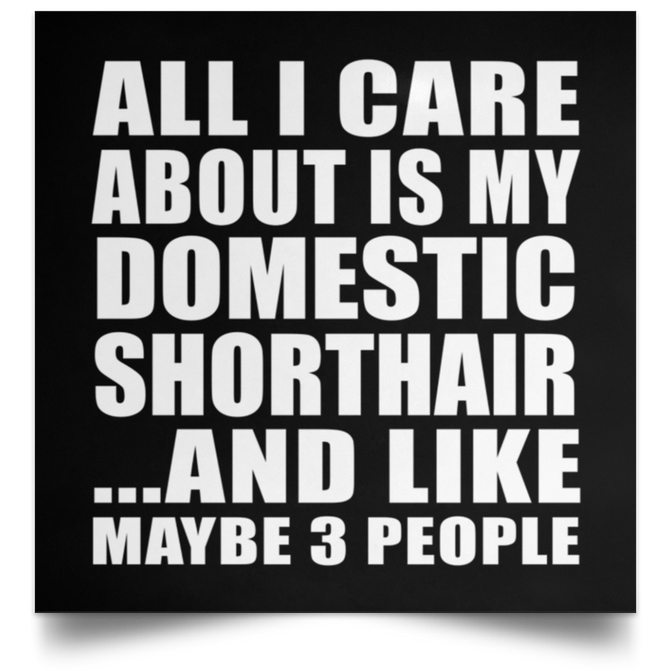 All I Care About Is My Domestic Shorthair - Poster Square
