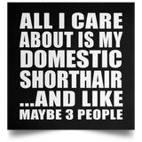 All I Care About Is My Domestic Shorthair - Poster Square