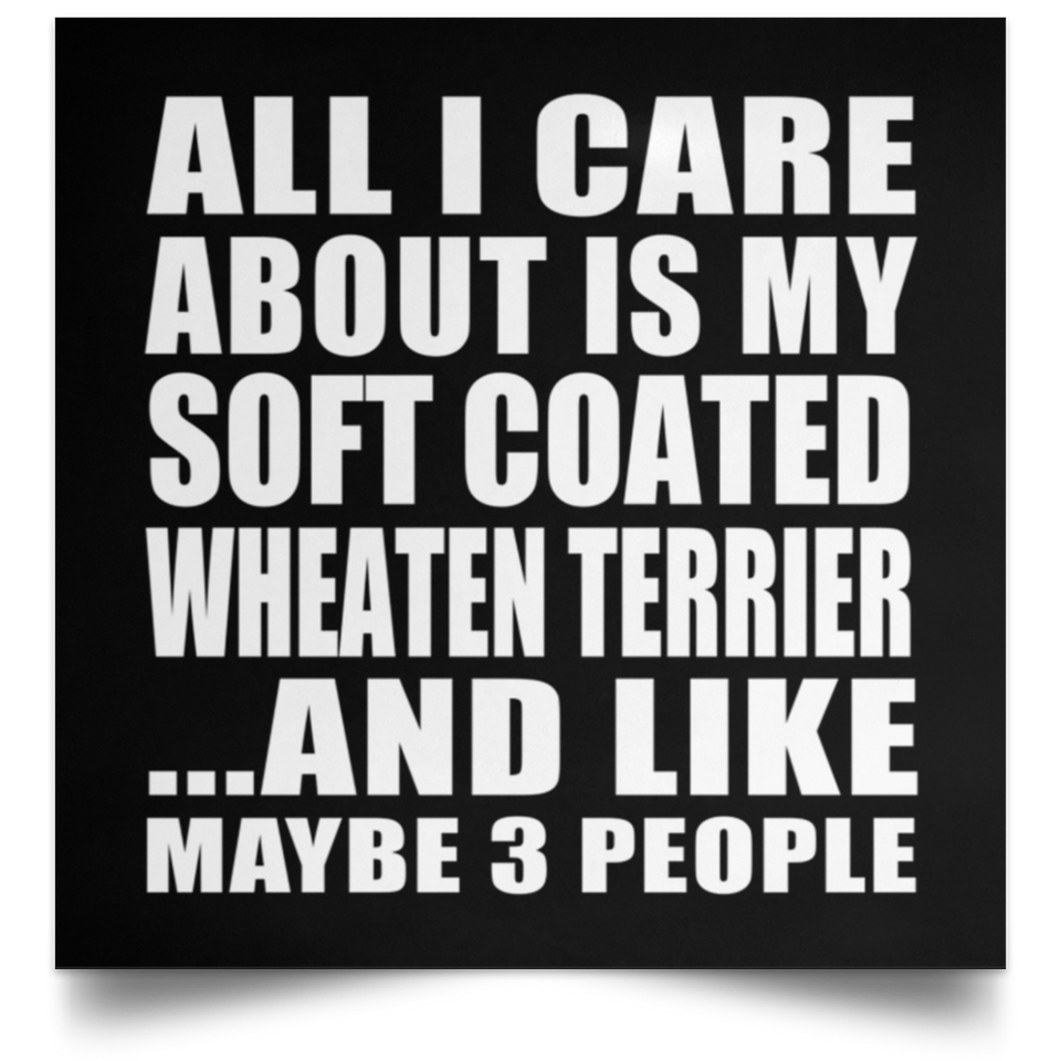 All I Care About Is My Soft Coated Wheaten Terrier - Poster Square