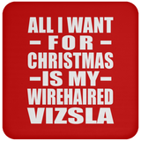 All I Want For Christmas Is My Wirehaired Vizsla - Coaster