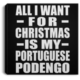 All I Want For Christmas Is My Portuguese Podengo - Canvas Square