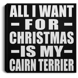 All I Want For Christmas Is My Cairn Terrier - Canvas Square