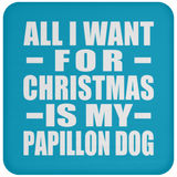 All I Want For Christmas Is My Papillon Dog - Coaster