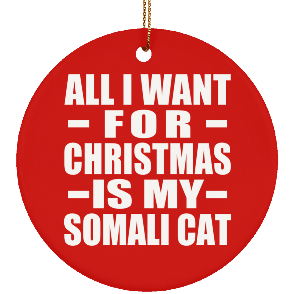 All I Want For Christmas Is My Somali Cat - Circle Ornament