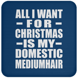 All I Want For Christmas Is My Domestic Mediumhair - Coaster