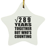 17th Anniversary Square Root of 289 Years Who's Counting - Star Ornament