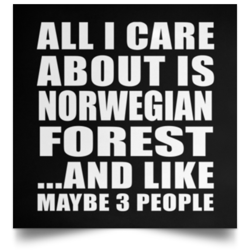 All I Care About Is Norwegian Forest - Poster Square