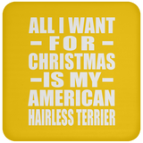 All I Want For Christmas Is My American Hairless Terrier - Coaster