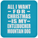 All I Want For Christmas Is My Entlebucher Mountain Dog - Coaster