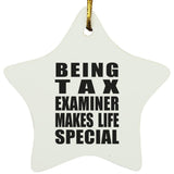 Being Tax Examiner Makes Life Special - Star Ornament