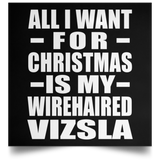 All I Want For Christmas Is My Wirehaired Vizsla - Poster Square