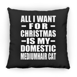 All I Want For Christmas Is My Domestic Mediumhair Cat - Throw Pillow Black