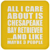 All I Care About Is Chesapeake Bay Retriever - Drink Coaster