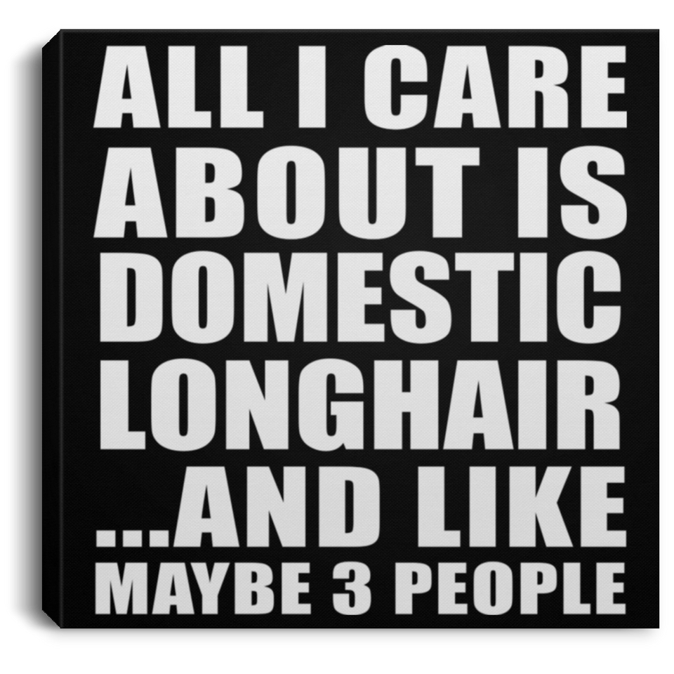 All I Care About Is Domestic Longhair - Canvas Square