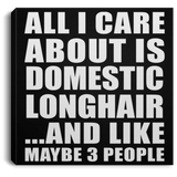 All I Care About Is Domestic Longhair - Canvas Square