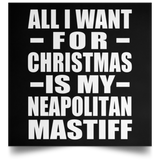 All I Want For Christmas Is My Neapolitan Mastiff - Poster Square