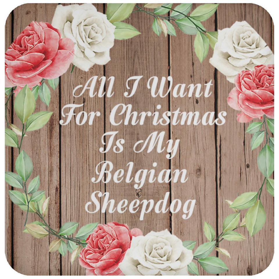 All I Want For Christmas Is My Belgian Sheepdog - Drink Coaster B