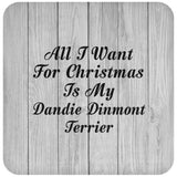 All I Want For Christmas Is My Dandie Dinmont Terrier - Drink Coaster F