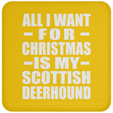 All I Want For Christmas Is My Scottish Deerhound - Coaster